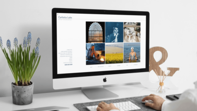 Website Designers Brighton and Hove