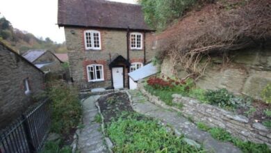 Dinham Weir House Prices