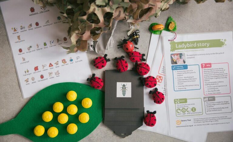 Sensory Story Ideas for Autism