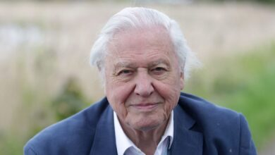 Facts About David Attenborough for Kids