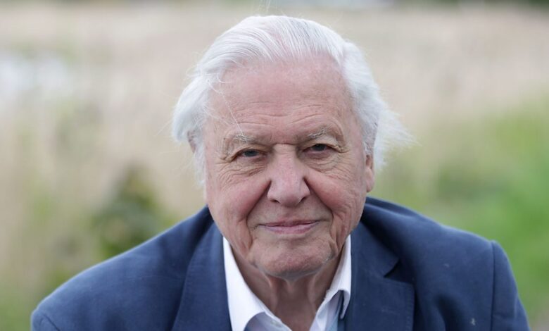 Facts About David Attenborough for Kids