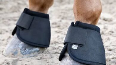 Redpost Equestrian Discount Code First Order