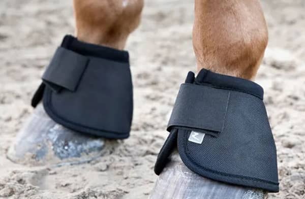 Redpost Equestrian Discount Code First Order