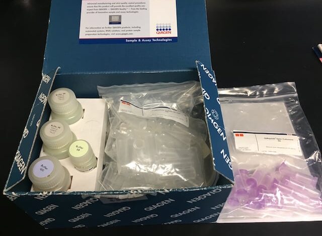 Qiagen DNA Extraction Kit Protocol PDF